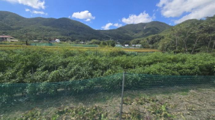 울산 울주군 범서읍 답 경매 물건 사진 2 · 2025타경12438