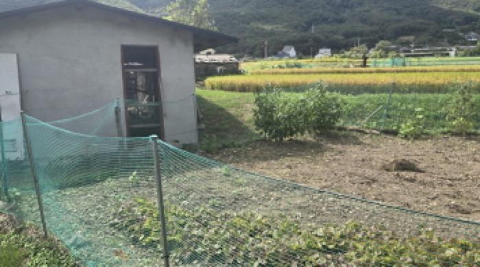 울산 울주군 범서읍 답 경매 물건 사진 4 · 2025타경12438