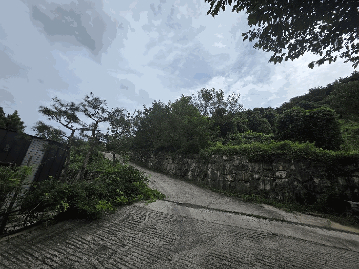 울산 울주군 상북면 임야 경매 물건 사진 6 · 2025타경12440