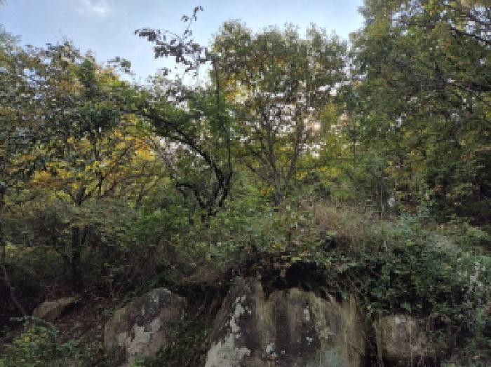 울산 울주군 청량읍 전답 경매 물건 사진