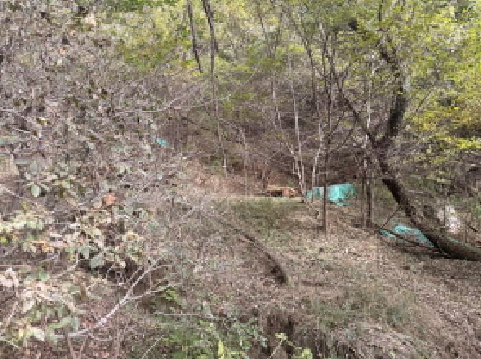 울산 울주군 청량읍 전답 경매 물건 사진 6 · 2025타경12480