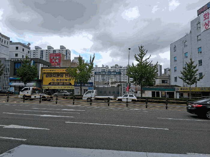 울산 남구 달동 대지,임야,전답 경매 물건 사진 6 · 2025타경12487