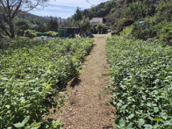 울산 중구 유곡동 대지 경매 물건 사진 3 · 2025타경12494