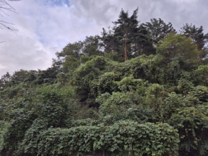 울산 울주군 온산읍 임야 경매 물건 사진 2 · 2025타경12498