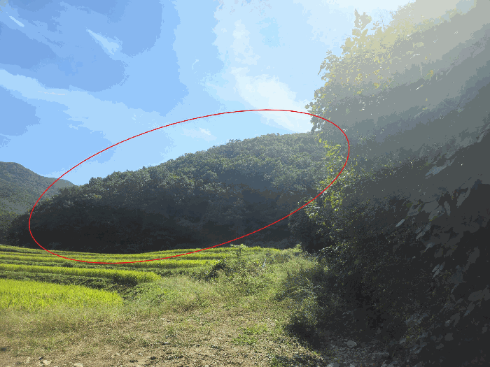 울산 울주군 두동면 임야 경매 물건 사진 4 · 2025타경12568