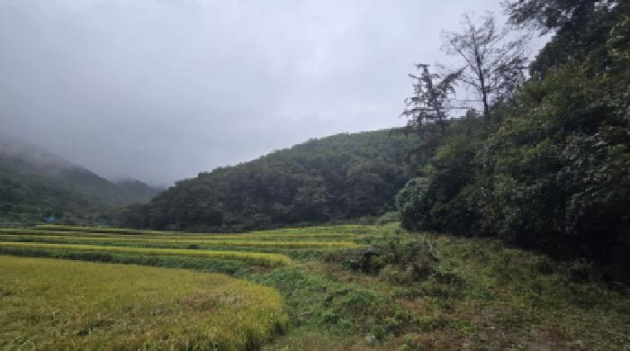 울산 울주군 두동면 임야 경매 물건 사진