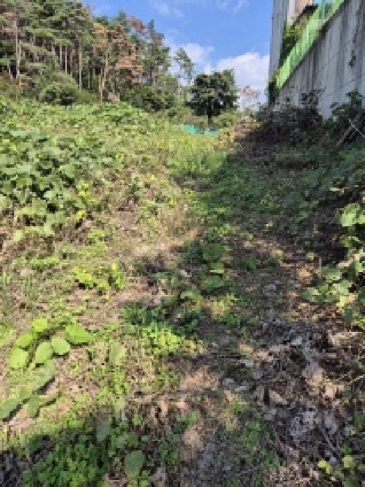 울산 울주군 온양읍 대지,임야,전답 경매 물건 사진 4 · 2025타경12575