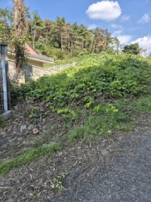 울산 울주군 온양읍 대지,임야,전답 경매 물건 사진 5 · 2025타경12575