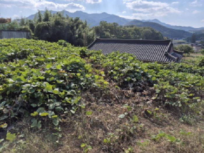 울산 울주군 온양읍 대지,임야,전답 경매 물건 사진 6 · 2025타경12575