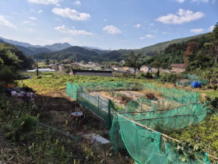 울산 울주군 온양읍 대지,임야,전답 경매 물건 사진