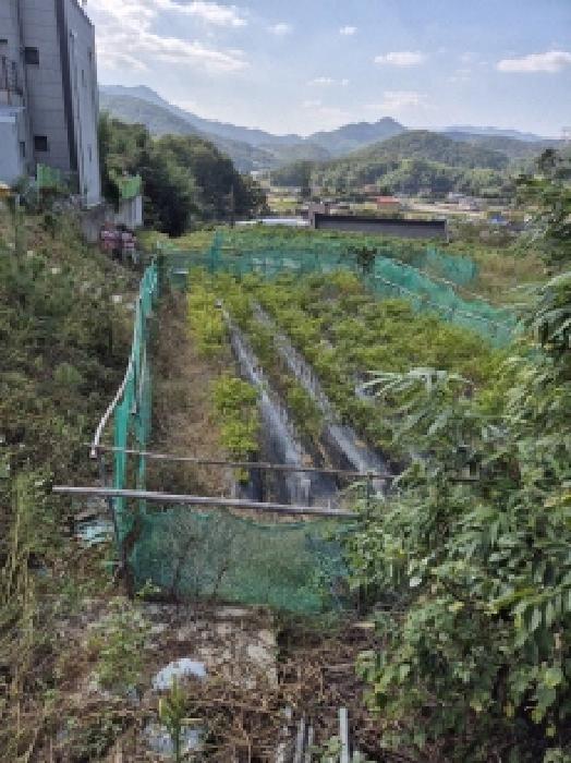 울산 울주군 온양읍 대지,임야,전답 경매 물건 사진 2 · 2025타경12575
