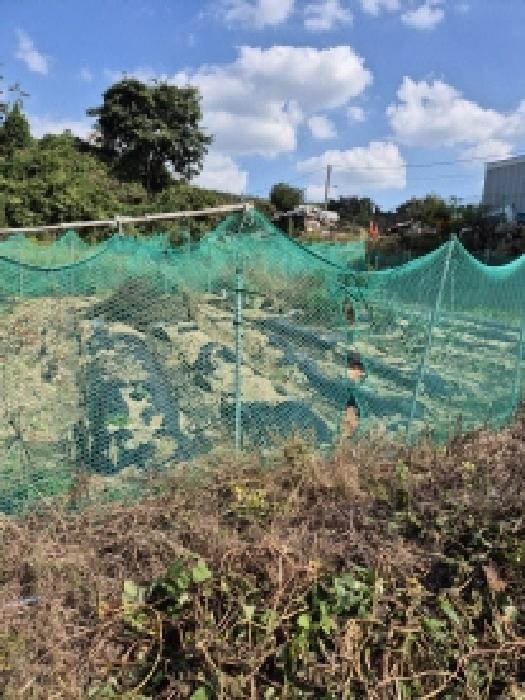 울산 울주군 온양읍 대지,임야,전답 경매 물건 사진 3 · 2025타경12575