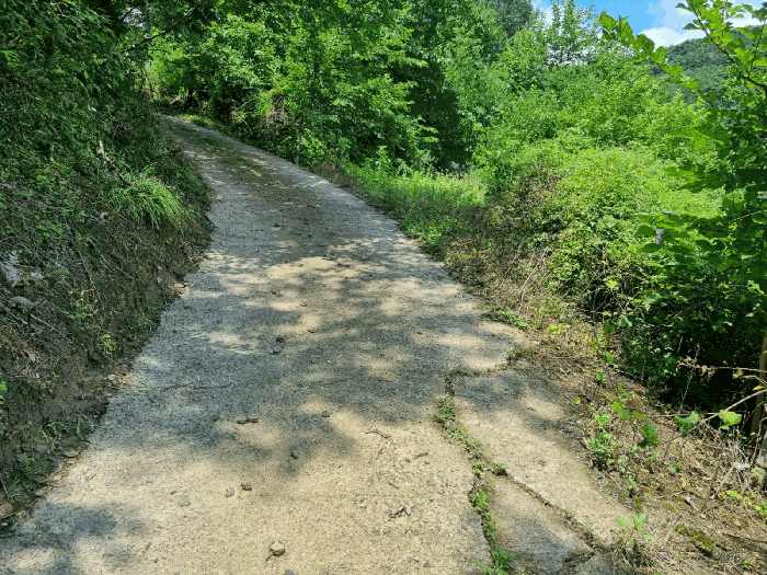 울산 울주군 상북면 전 경매 물건 사진 6 · 2025타경1259