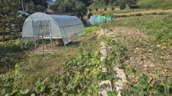 울산 울주군 상북면 전답 경매 물건 사진 4 · 2025타경12629