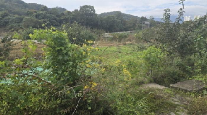 울산 울주군 언양읍 답 경매 물건 사진 3 · 2025타경12650