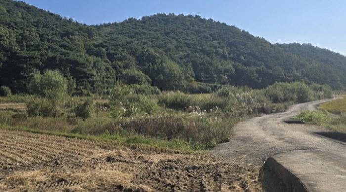 울산 울주군 상북면 전답 경매 물건 사진