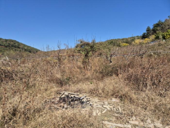울산 울주군 서생면 전답 경매 물건 사진