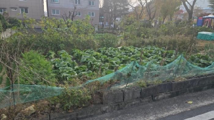 울산 울주군 언양읍 잡종지 경매 물건 사진
