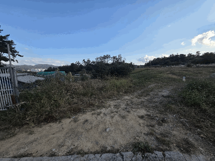 울산 북구 상안동 전답 경매 물건 사진 4 · 2025타경12747