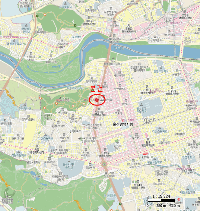 울산 남구 신정동 상가,오피스텔,근린시설 경매 물건 사진 2 · 2025타경12774