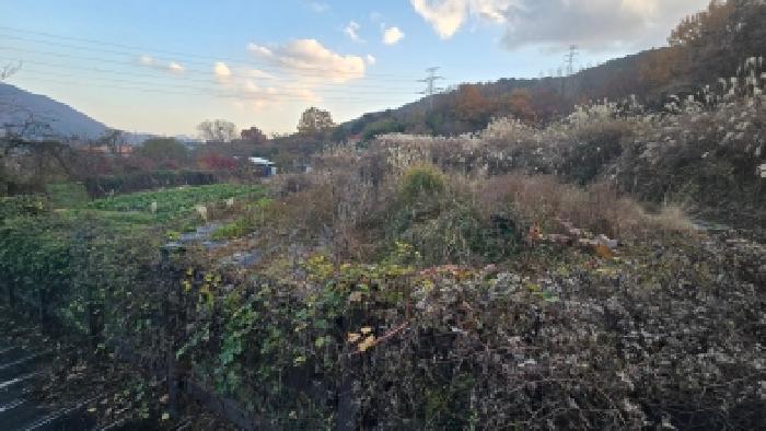 경남 양산시 평산동 답 경매 물건 사진 5 · 2025타경12781