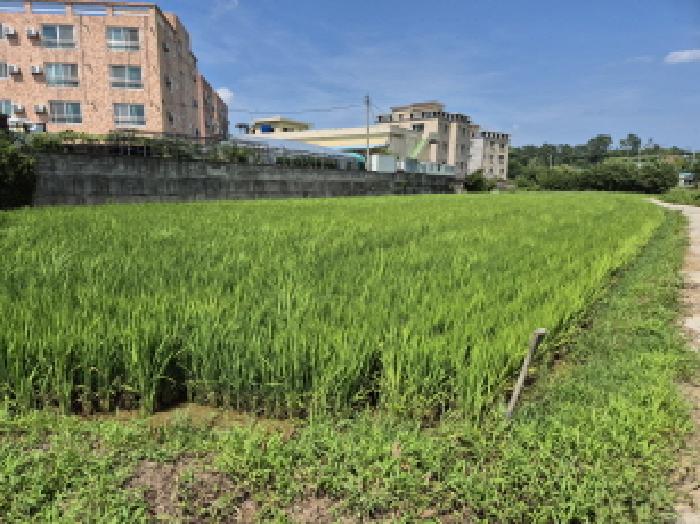울산 울주군 서생면 답 경매 물건 사진