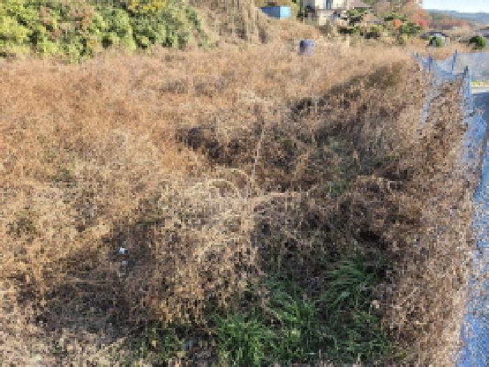 울산 북구 무룡동 전답 경매 물건 사진 2 · 2025타경12813