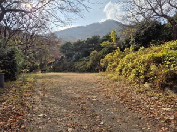 울산 울주군 청량읍 단독주택 경매 물건 사진