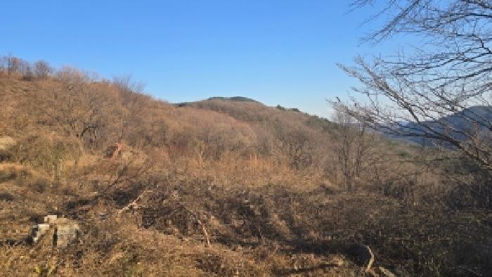 울산 울주군 두서면 대지,임야,전답 경매 물건 사진