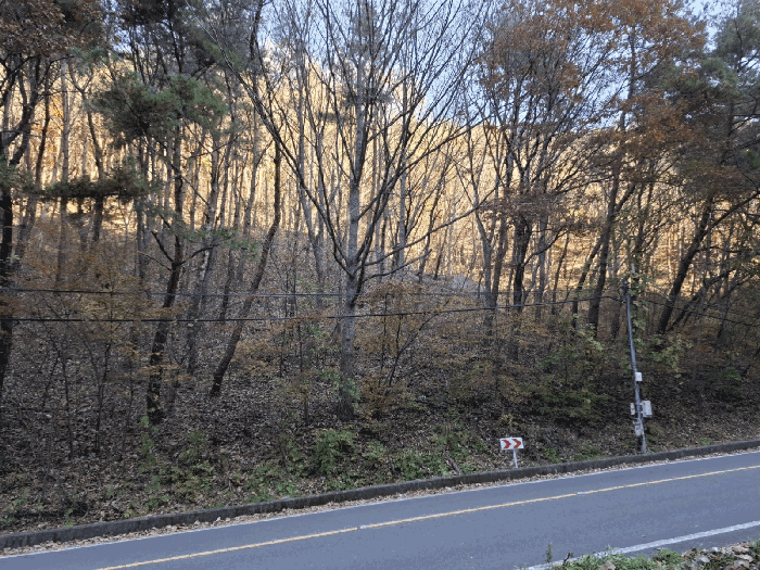 경남 양산시 하북면 임야 경매 물건 사진 6 · 2025타경12856