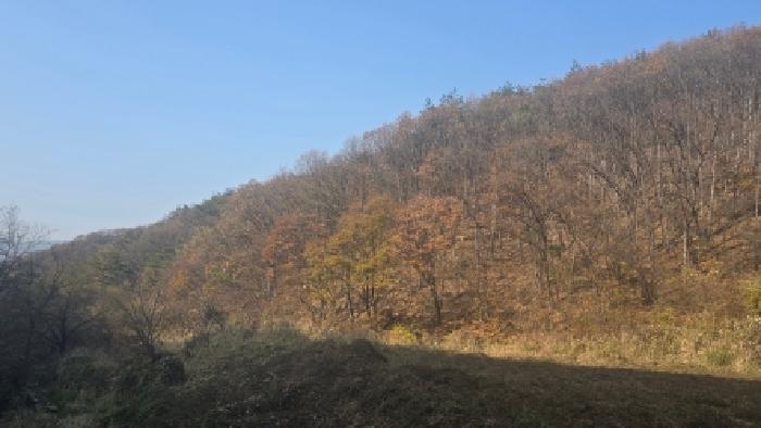 경남 양산시 하북면 임야 경매 물건 사진