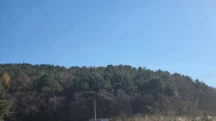 울산 울주군 범서읍 임야 경매 물건 사진