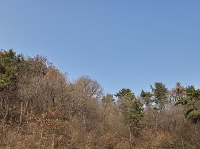 울산 울주군 온산읍 임야 경매 물건 사진