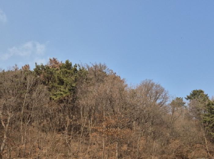 울산 울주군 온산읍 임야 경매 물건 사진 2 · 2025타경12905