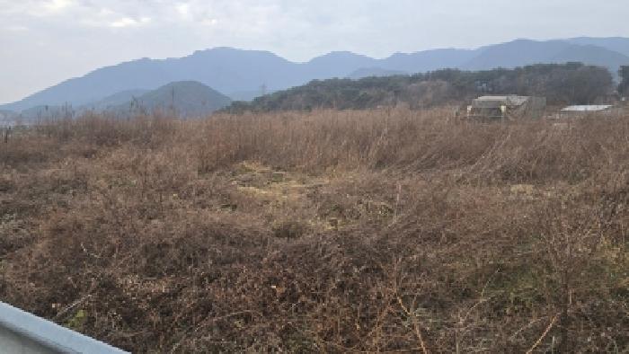 울산 울주군 상북면 전답 경매 물건 사진 4 · 2025타경12921