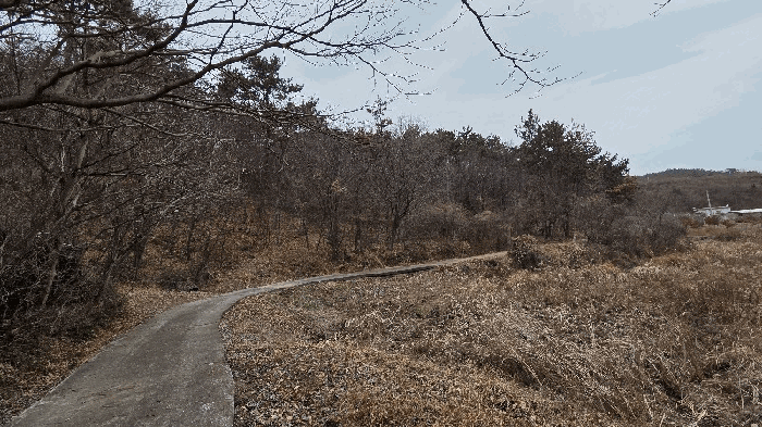 울산 울주군 서생면 임야 경매 물건 사진 5 · 2025타경12933