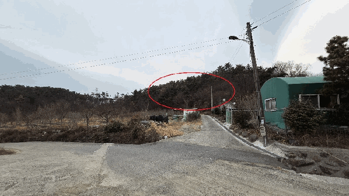 울산 울주군 서생면 임야 경매 물건 사진 6 · 2025타경12933