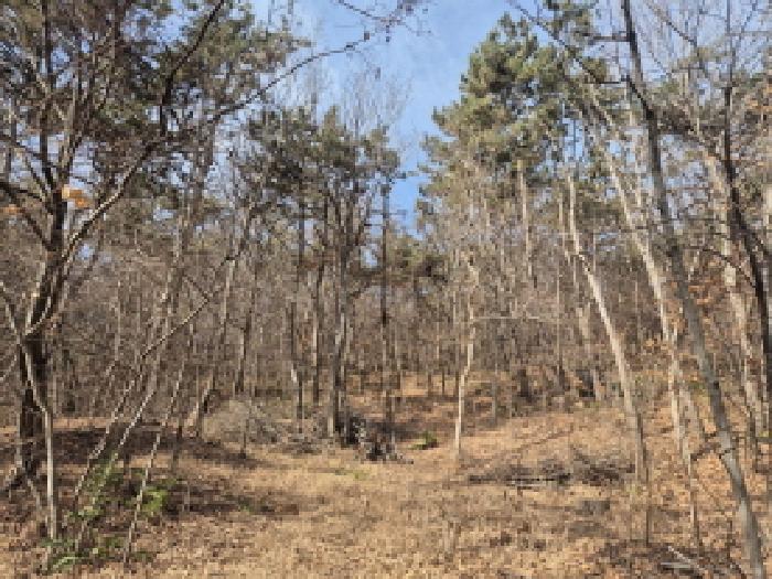 울산 울주군 서생면 임야 경매 물건 사진 2 · 2025타경12933