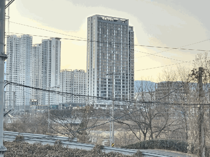 울산 울주군 삼남읍 상가,오피스텔,근린시설 경매 물건 사진 5 · 2025타경12937