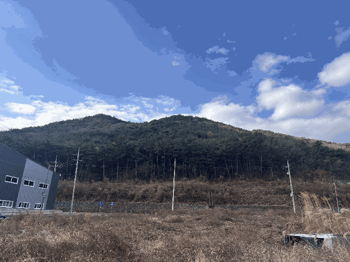 울산 울주군 상북면 임야 경매 물건 사진 6 · 2025타경12949