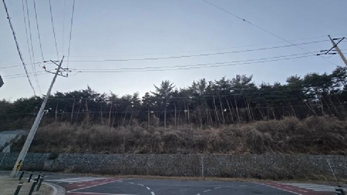 울산 울주군 상북면 임야 경매 물건 사진