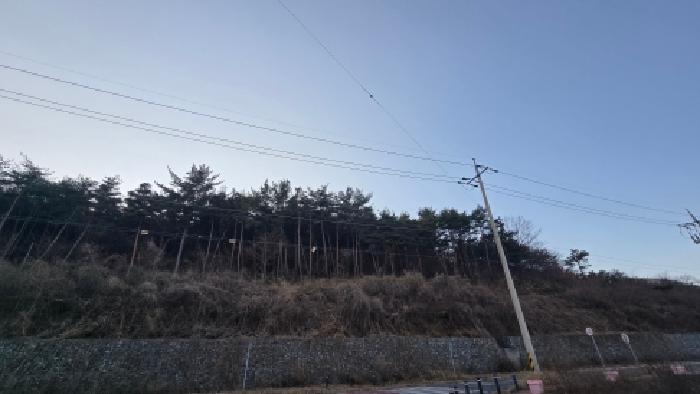 울산 울주군 상북면 임야 경매 물건 사진 2 · 2025타경12949