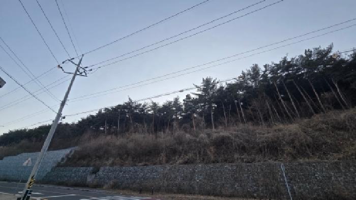 울산 울주군 상북면 임야 경매 물건 사진 3 · 2025타경12949