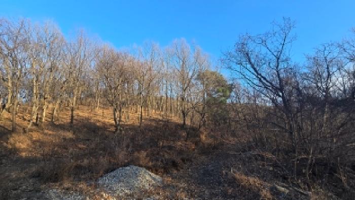 울산 울주군 삼동면 목장용지 경매 물건 사진 2 · 2025타경12967