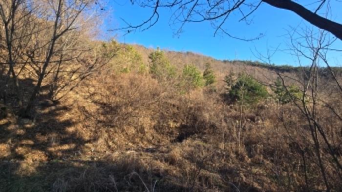 울산 울주군 상북면 임야 경매 물건 사진 3 · 2025타경13024
