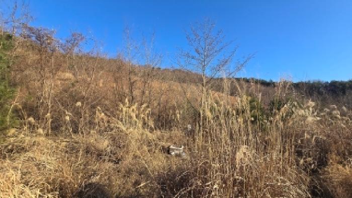 울산 울주군 상북면 임야 경매 물건 사진 4 · 2025타경13024