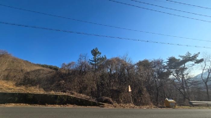 울산 울주군 상북면 임야 경매 물건 사진 5 · 2025타경13024