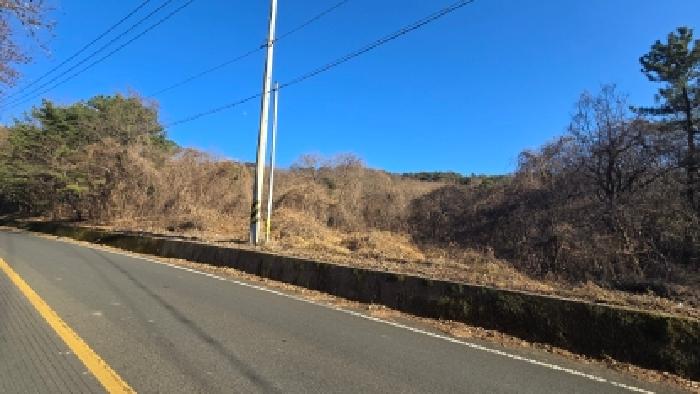 울산 울주군 상북면 임야 경매 물건 사진 2 · 2025타경13024