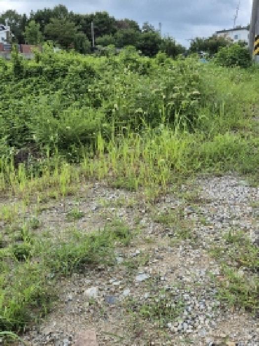 울산 울주군 서생면 답 경매 물건 사진 4 · 2025타경1308