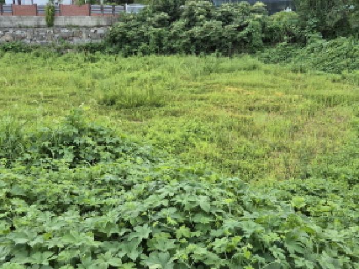 울산 울주군 서생면 답 경매 물건 사진
